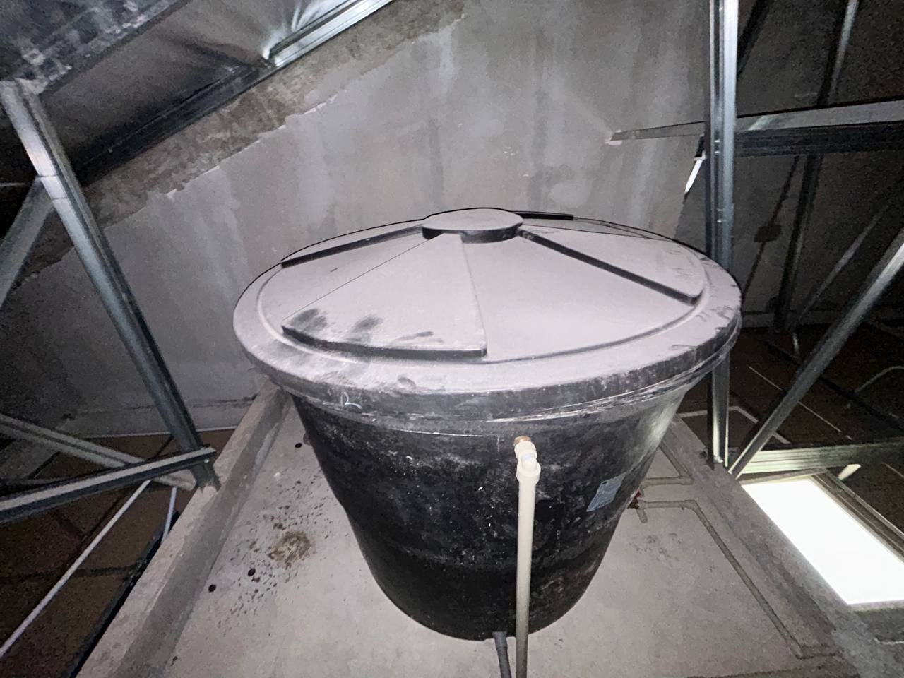 Property Inspection